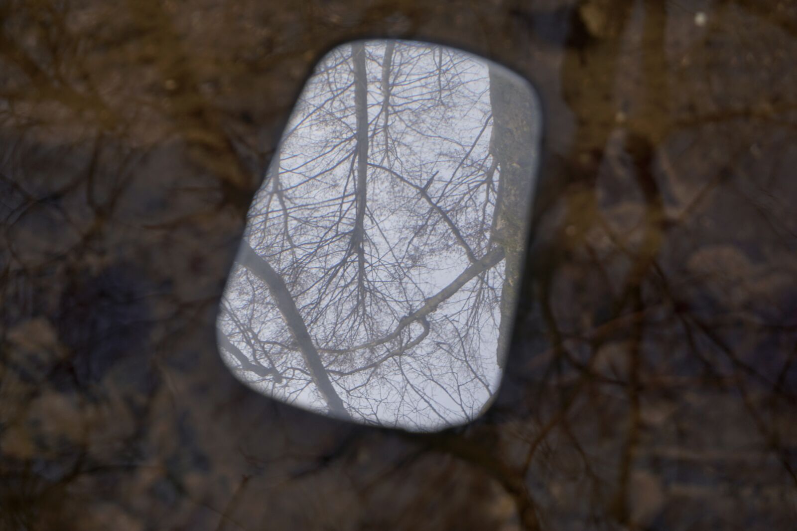 Sony a6000 sample photo. Mirror, car mirror, water photography