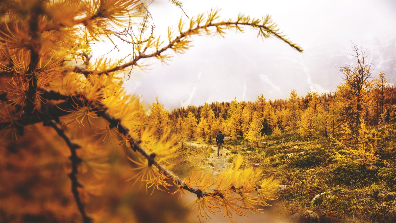 Sigma 16mm F1.4 DC DN | C sample photo. Autumn, hike, landscape photography