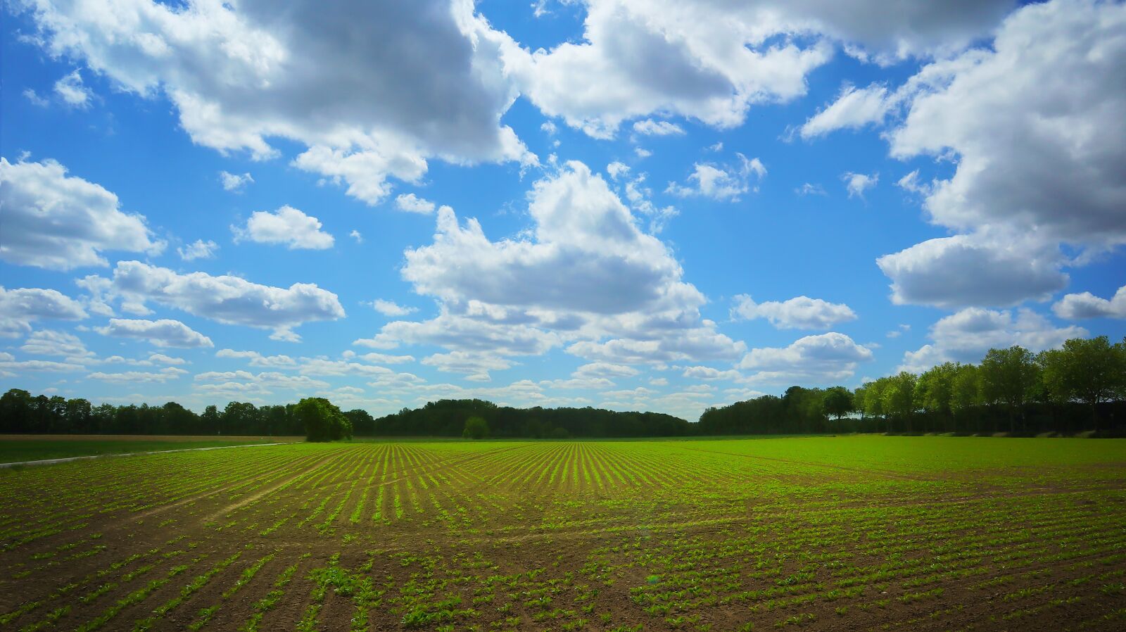 Canon EOS M50 (EOS Kiss M) sample photo. Landscape, germany, rural photography