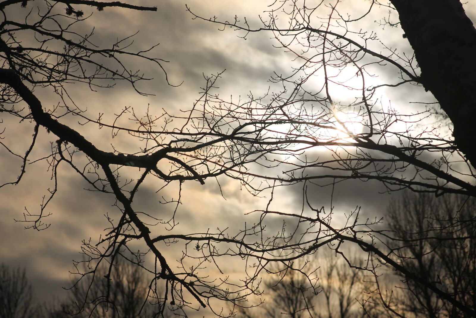 Canon EF 75-300mm f/4-5.6 sample photo. Beautiful, sky, trees photography