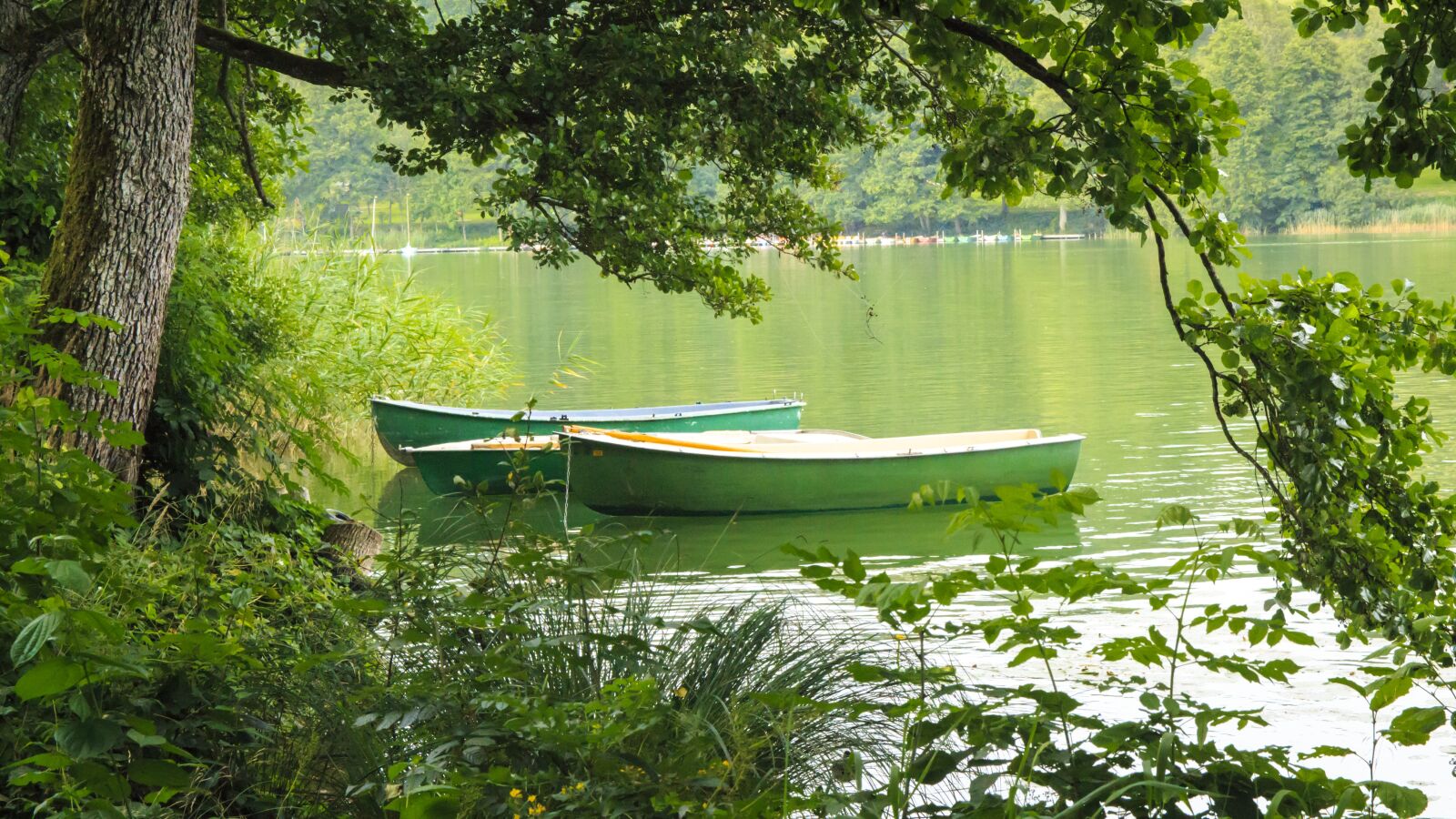 Canon EOS 650D (EOS Rebel T4i / EOS Kiss X6i) sample photo. Rowing boat, lake, fun photography