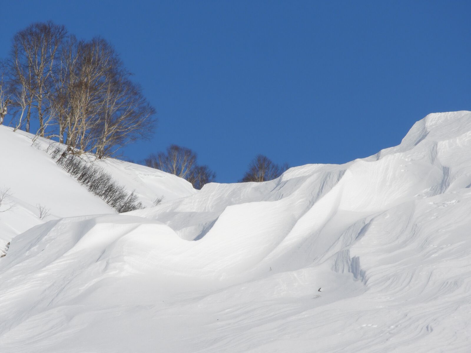 Nikon Coolpix B700 sample photo. Kamchatka, winter, snow photography