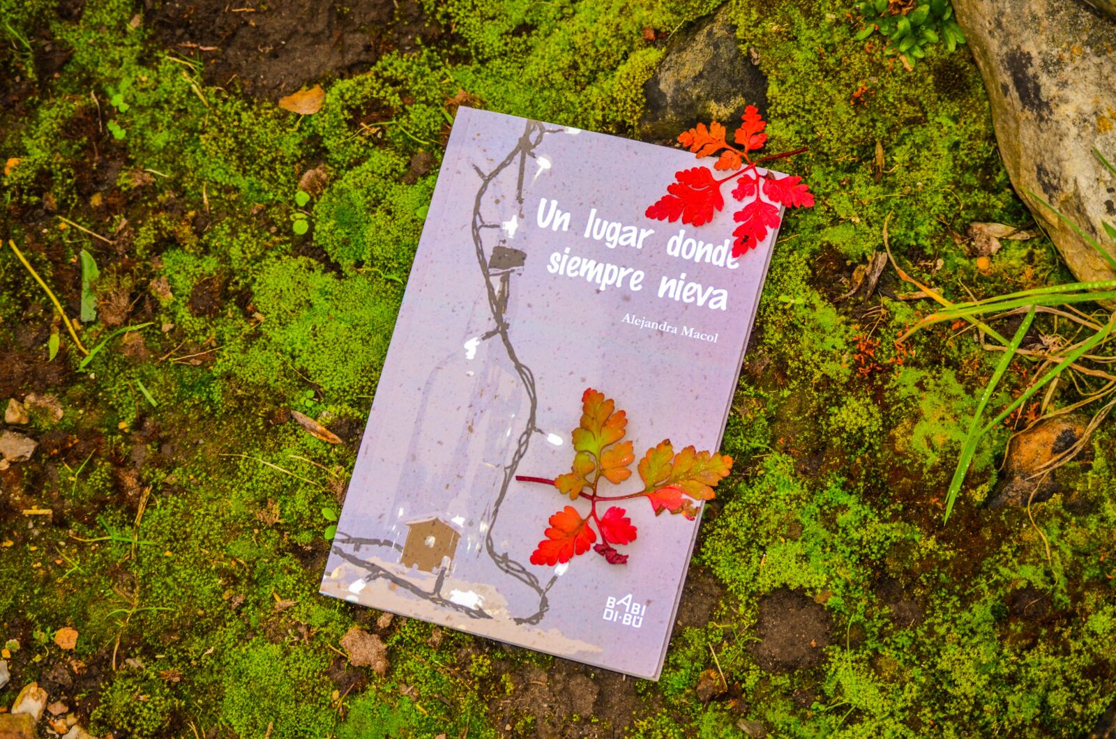 Nikon D5100 sample photo. Book, grass, rustic photography