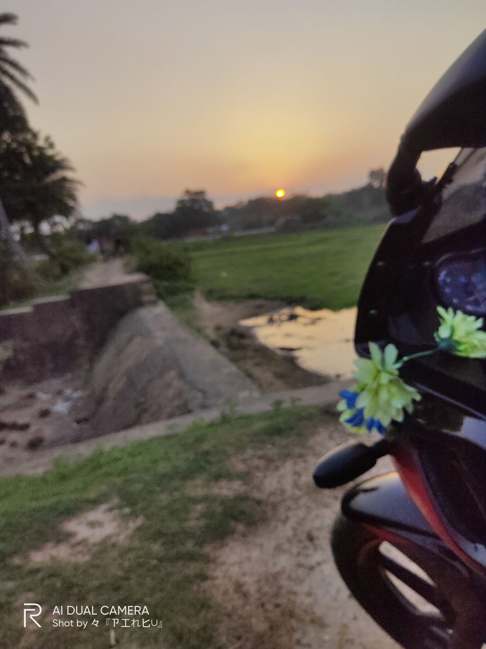 Realme 3 PRO sample photo. Nature, bike, river photography