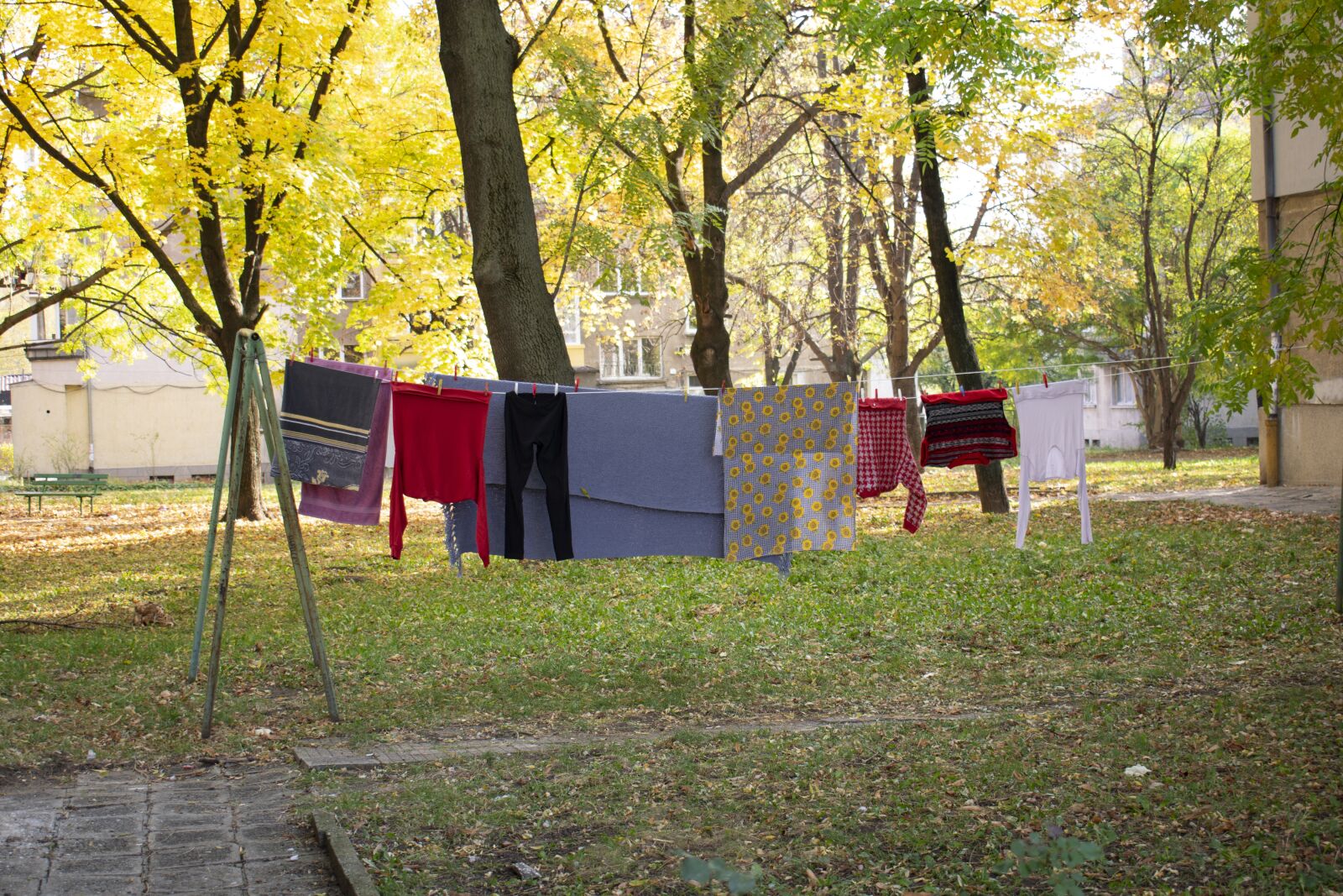 Nikon D3300 sample photo. Laundry, washed clothes, outside photography