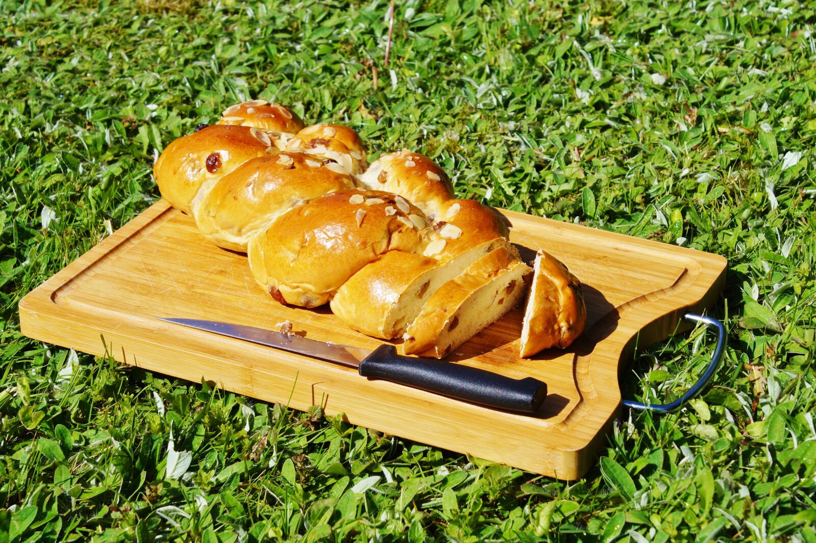 Sony DT 18-70mm F3.5-5.6 sample photo. Raisin braid, cake, plait photography