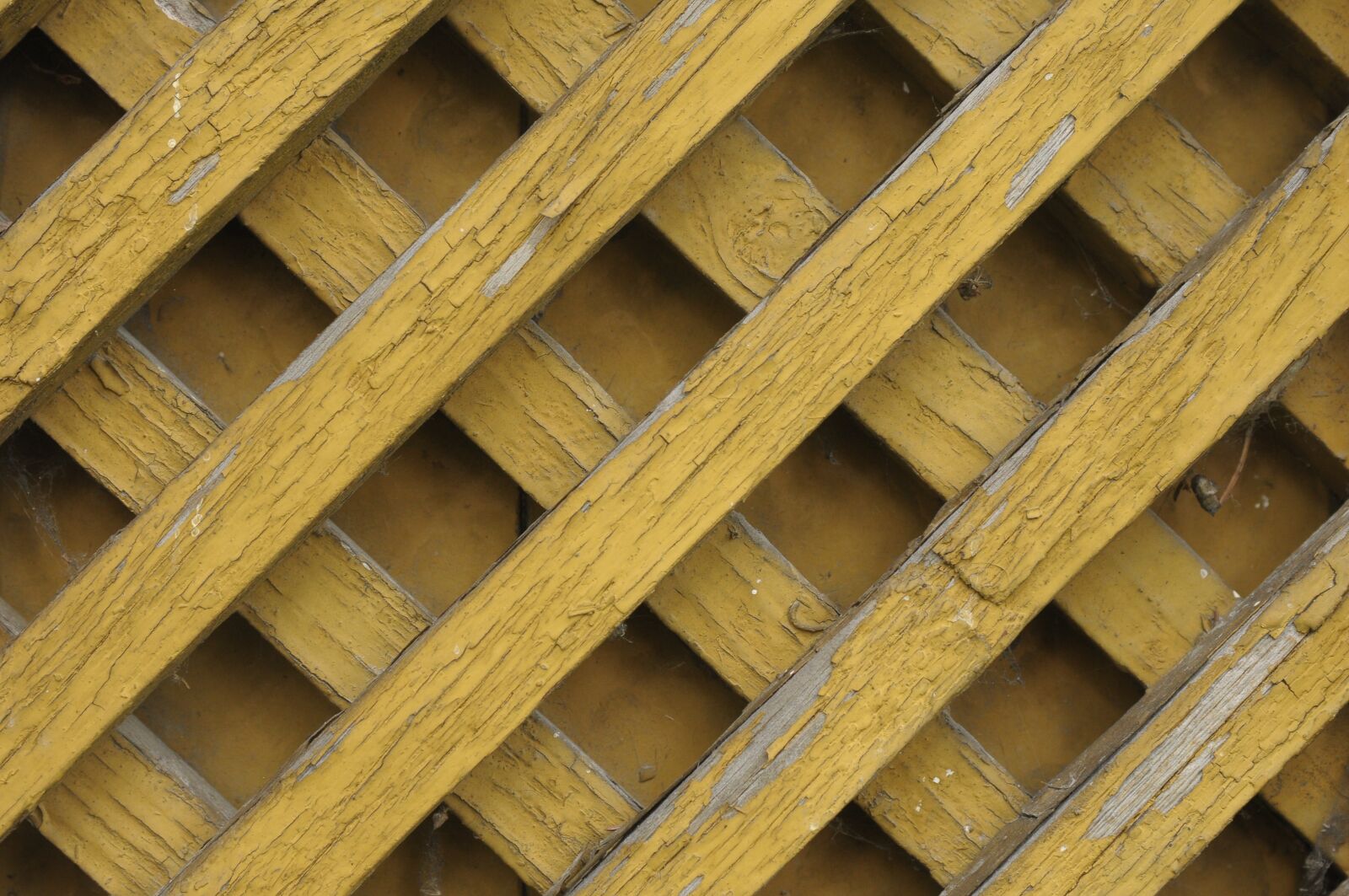 Nikon D300 sample photo. Wood, invoice, orange photography