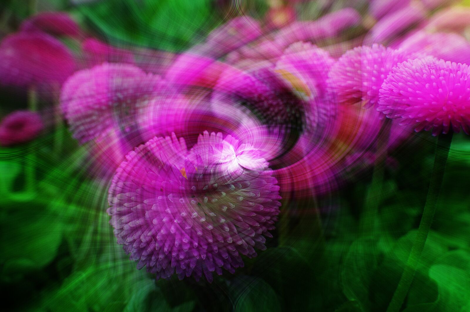 Nikon D90 sample photo. Flower effect, photoshop, spring photography