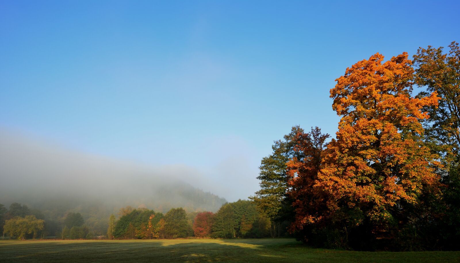 Nikon D5200 sample photo. Fog, morgenstimmung, sunrise photography