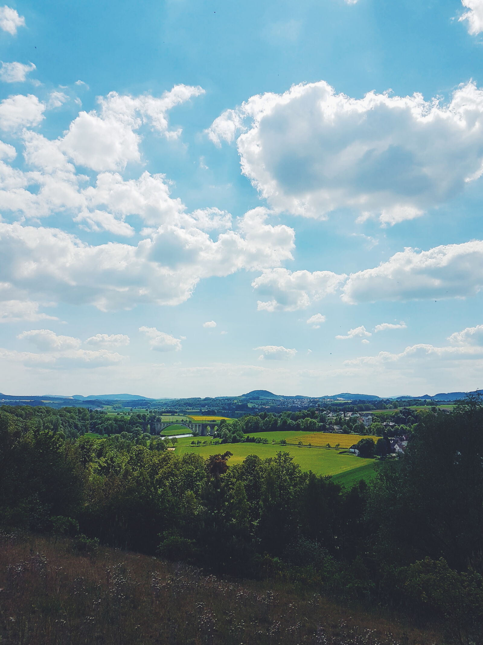 Samsung Galaxy S7 sample photo. Clouds, environment, field, forest photography