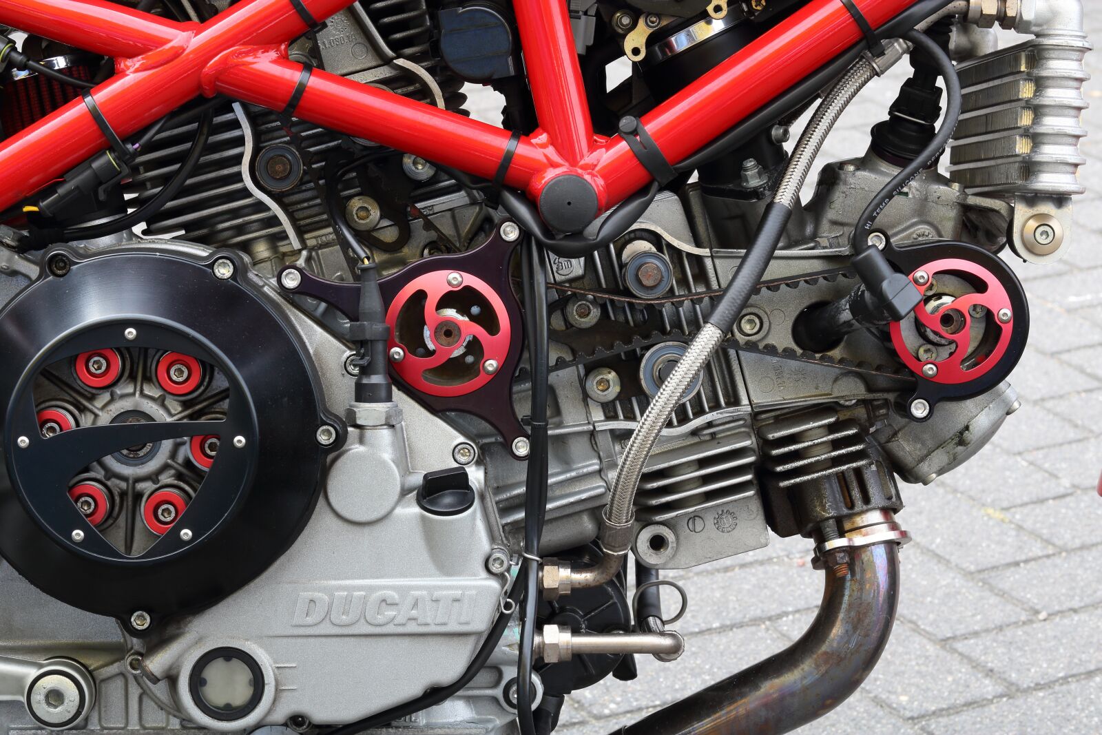 Canon EOS 750D (EOS Rebel T6i / EOS Kiss X8i) sample photo. Ducati, monster, motorcycle photography