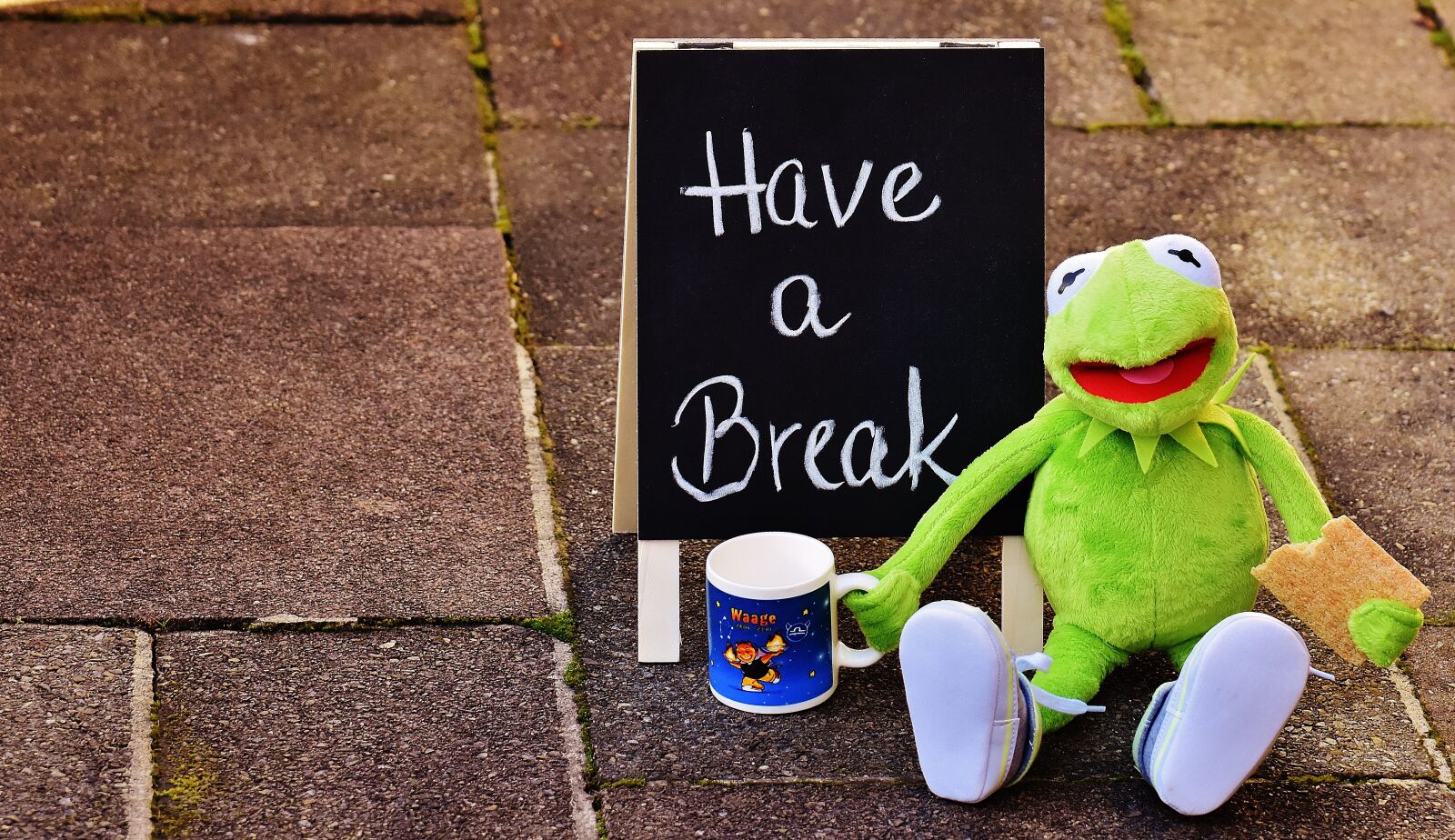 Nikon D7200 sample photo. Kermit, cup, drink coffee photography