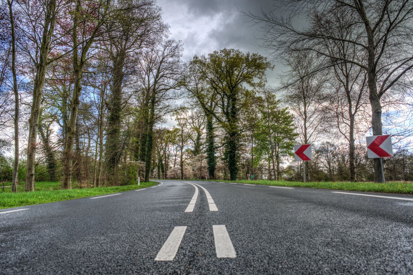 Nikon D610 sample photo. Road, asphalt, guidance photography