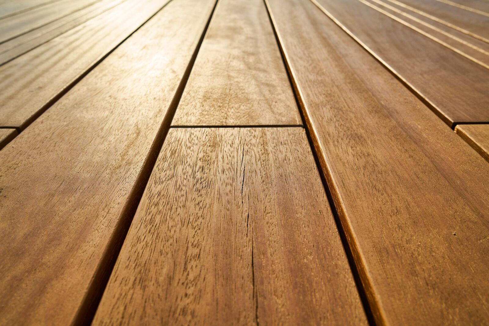 Sony a7R II sample photo. Ground, wood, light photography