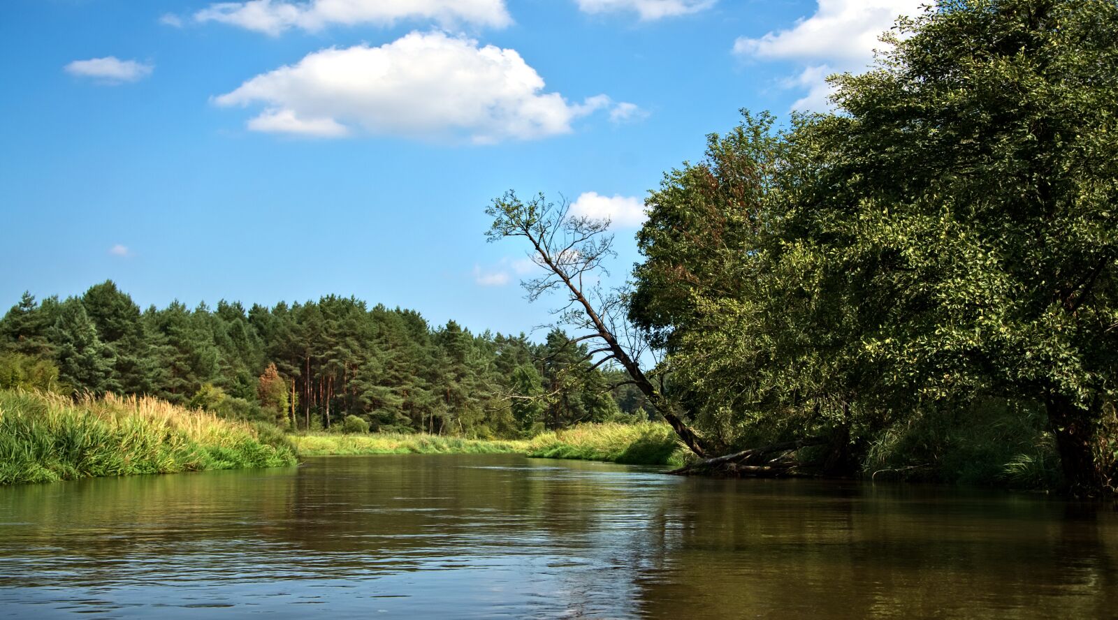 Nikon D7000 sample photo. River, forest, clouds photography
