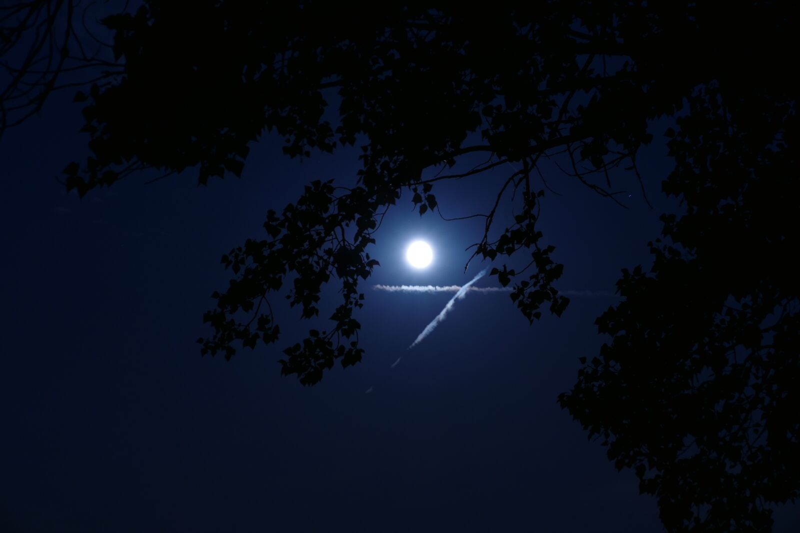 Panasonic Lumix DMC-FZ1000 sample photo. Month, night, the sky photography