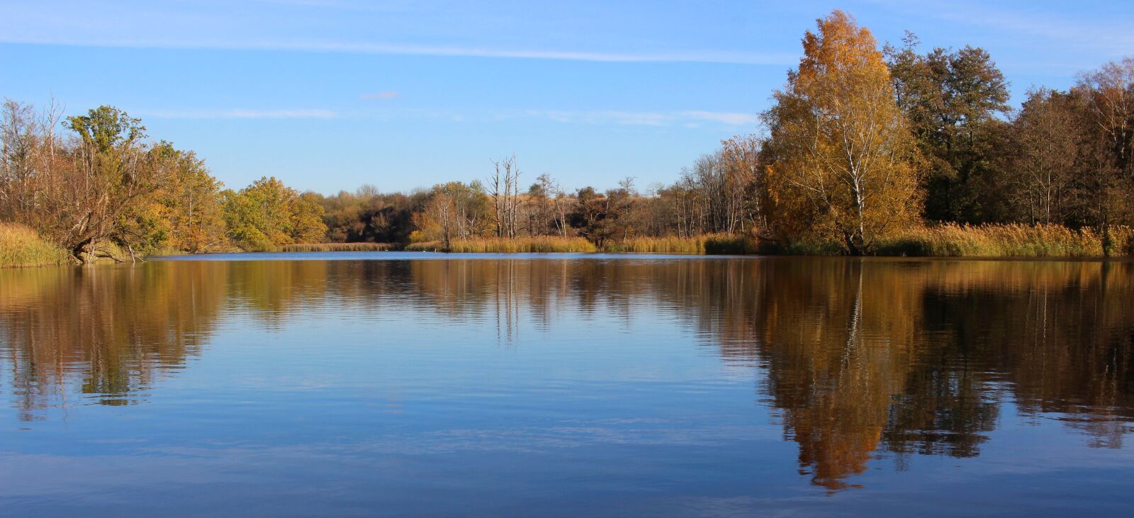 Canon EF-S 24mm F2.8 STM sample photo. Autumn, lake, forest photography