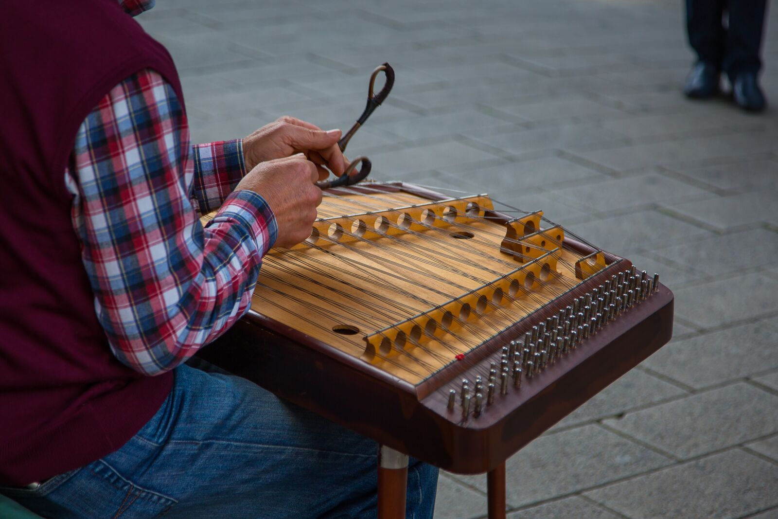 Canon EF 24-105mm F4L IS USM sample photo. Cimbalom, dulcimer, stringed instrument photography