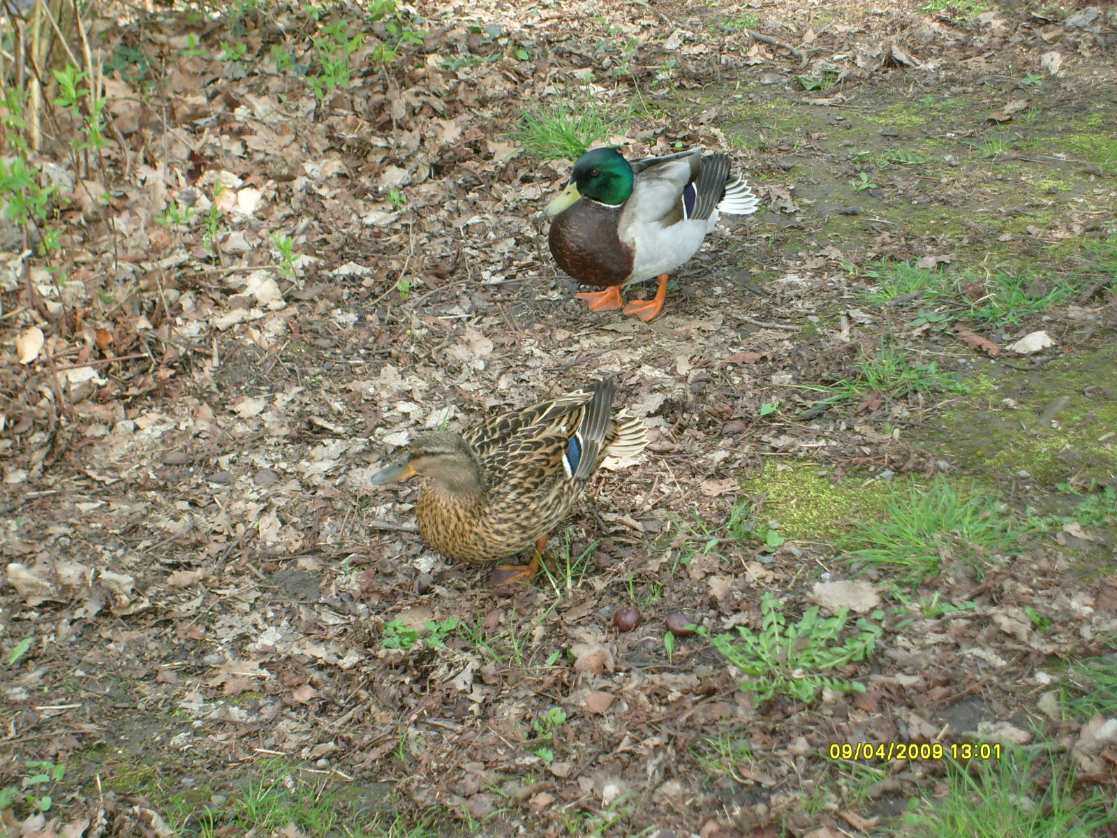 Samsung D70 / D75 / S730 / S750 sample photo