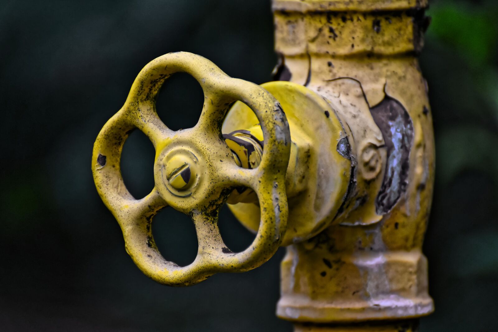 Nikon D7200 sample photo. Water pipe, old, rusted photography