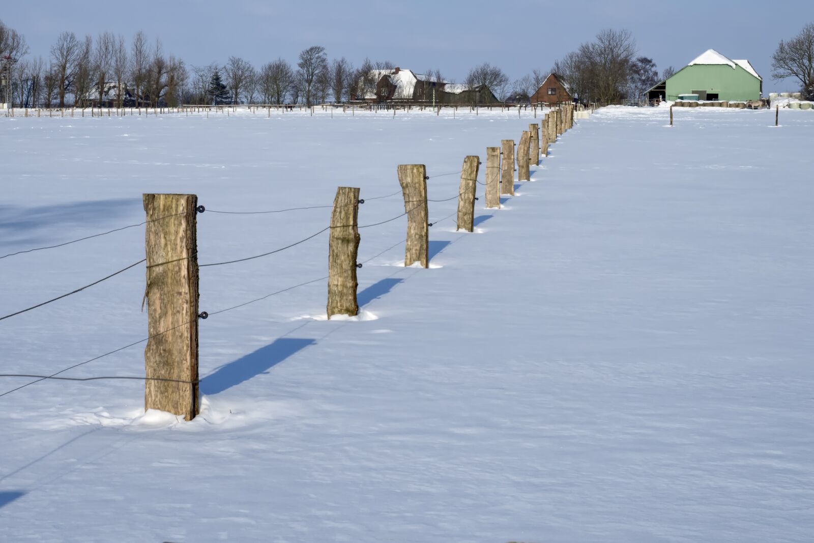 Olympus OM-D E-M5 II + Olympus M.Zuiko Digital ED 12-40mm F2.8 Pro sample photo. Coupling, field, fence photography