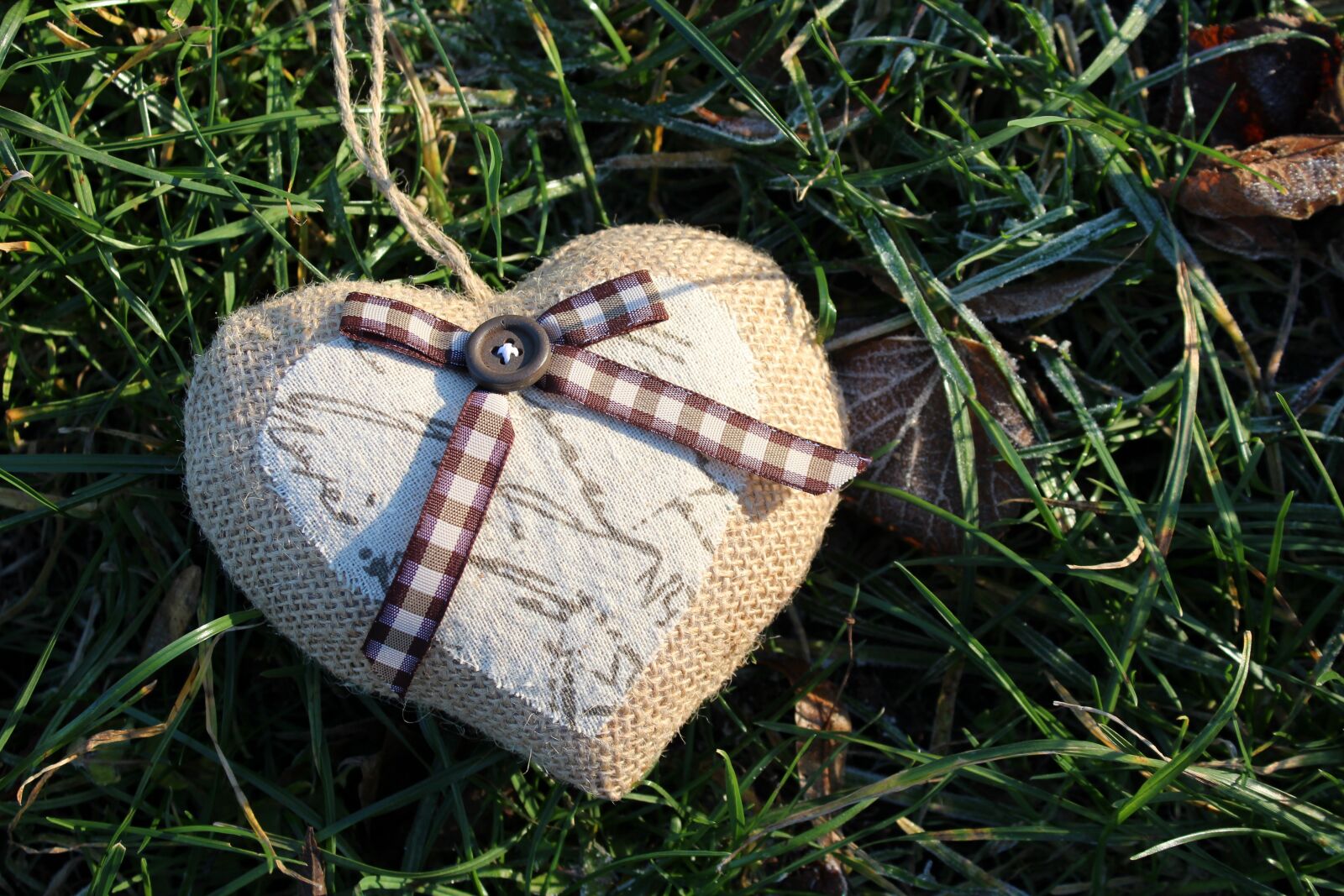 Canon EOS 1200D (EOS Rebel T5 / EOS Kiss X70 / EOS Hi) sample photo. Heart, grass, symbol photography