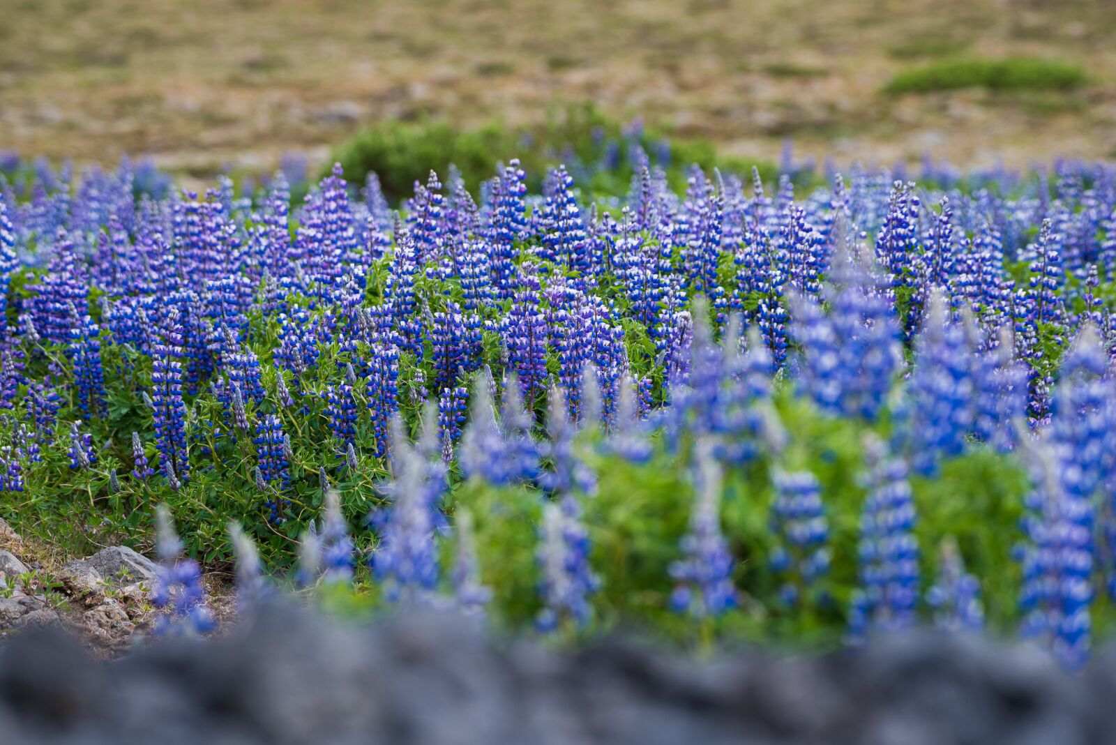 Nikon D750 sample photo. Iceland, landscape, nature photography