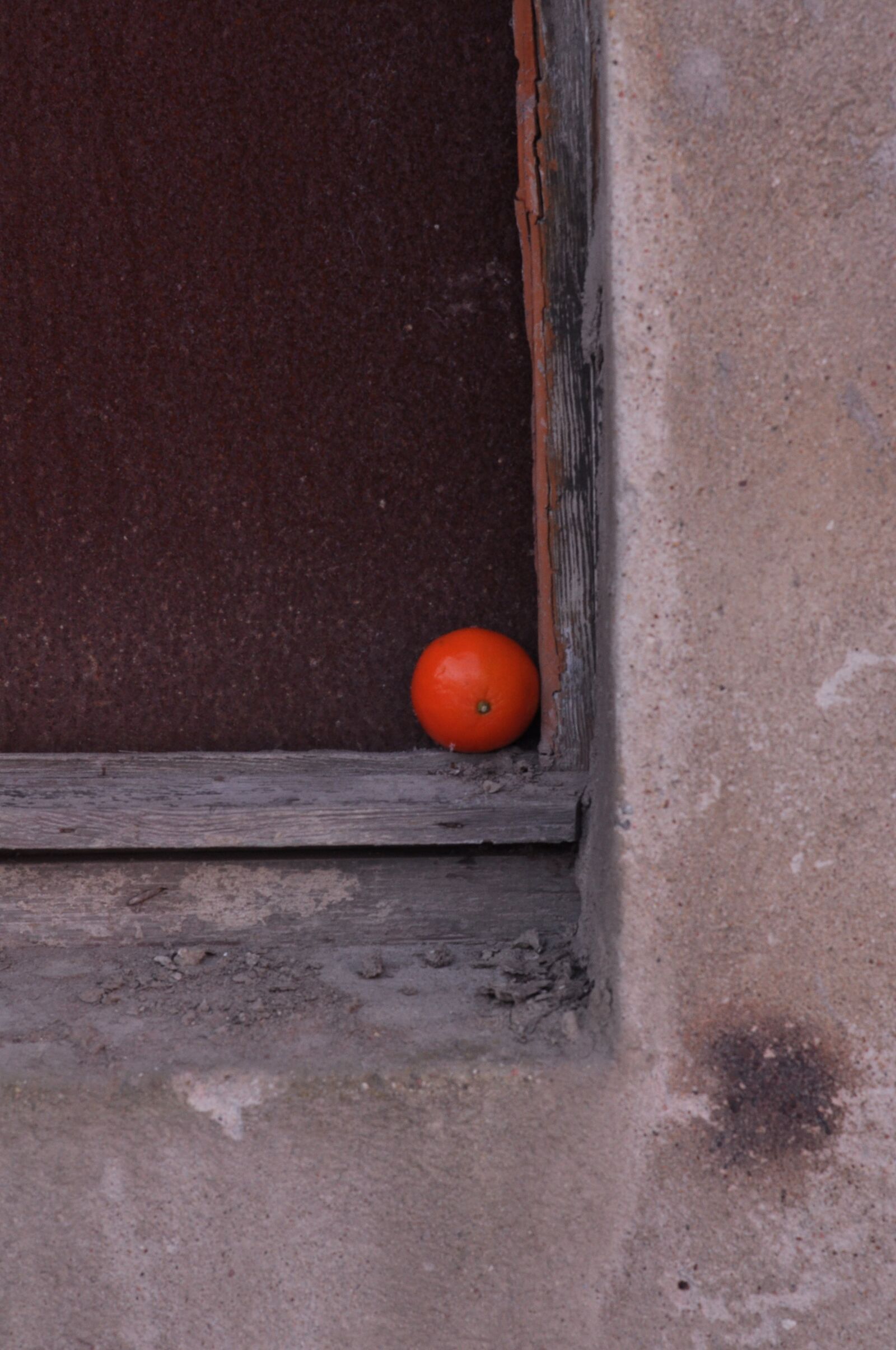 Nikon D90 sample photo. Orange, frame, window photography