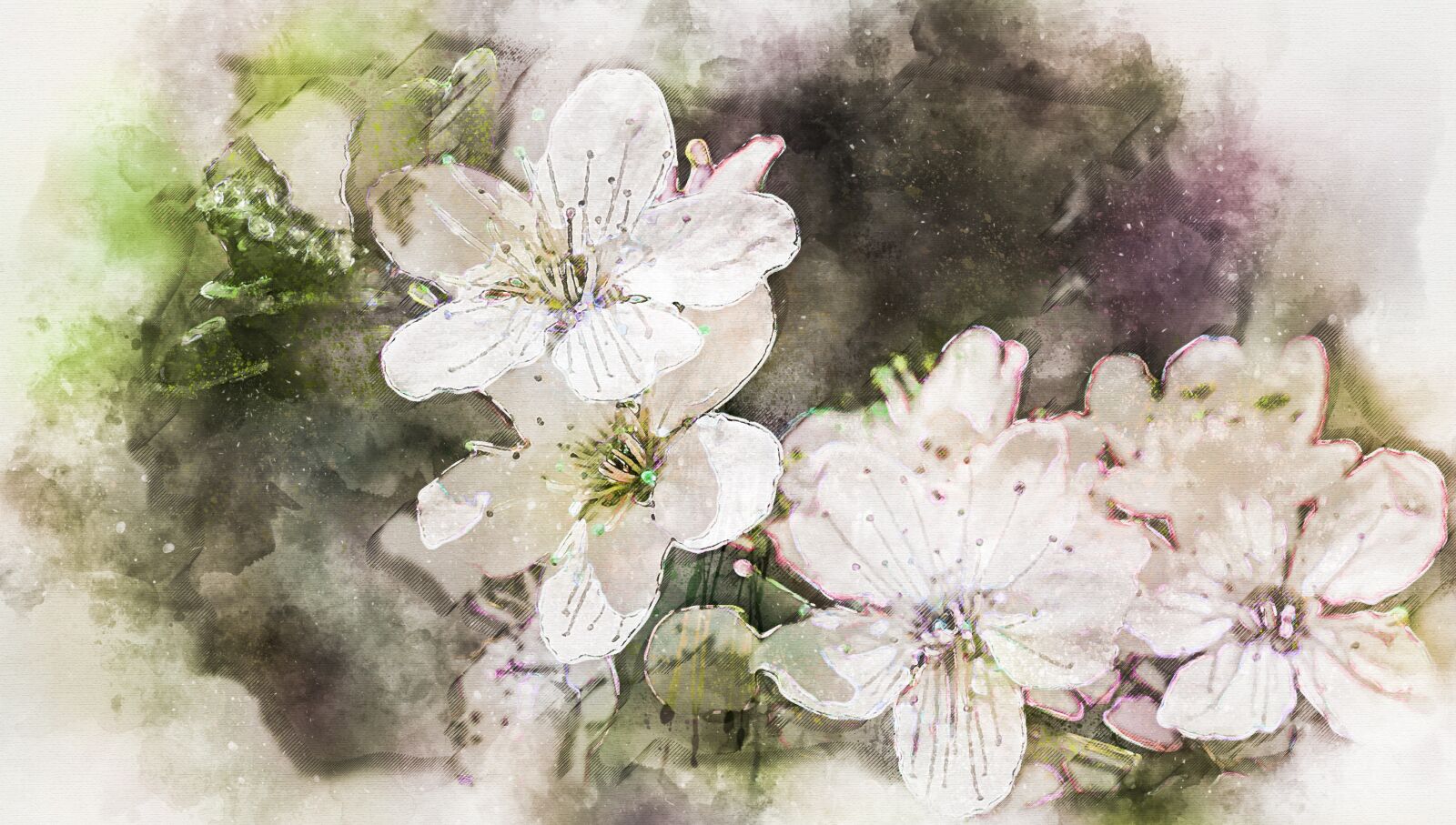 Canon EF 28-80mm f/3.5-5.6 sample photo. Almond blossom, almond tree photography