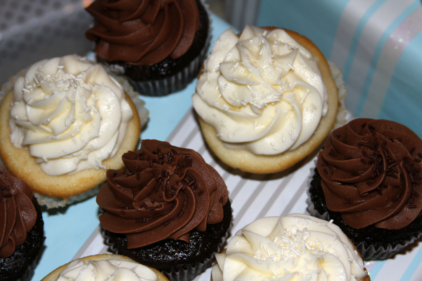 Canon EF 28-135mm F3.5-5.6 IS USM sample photo. Cupcakes photography