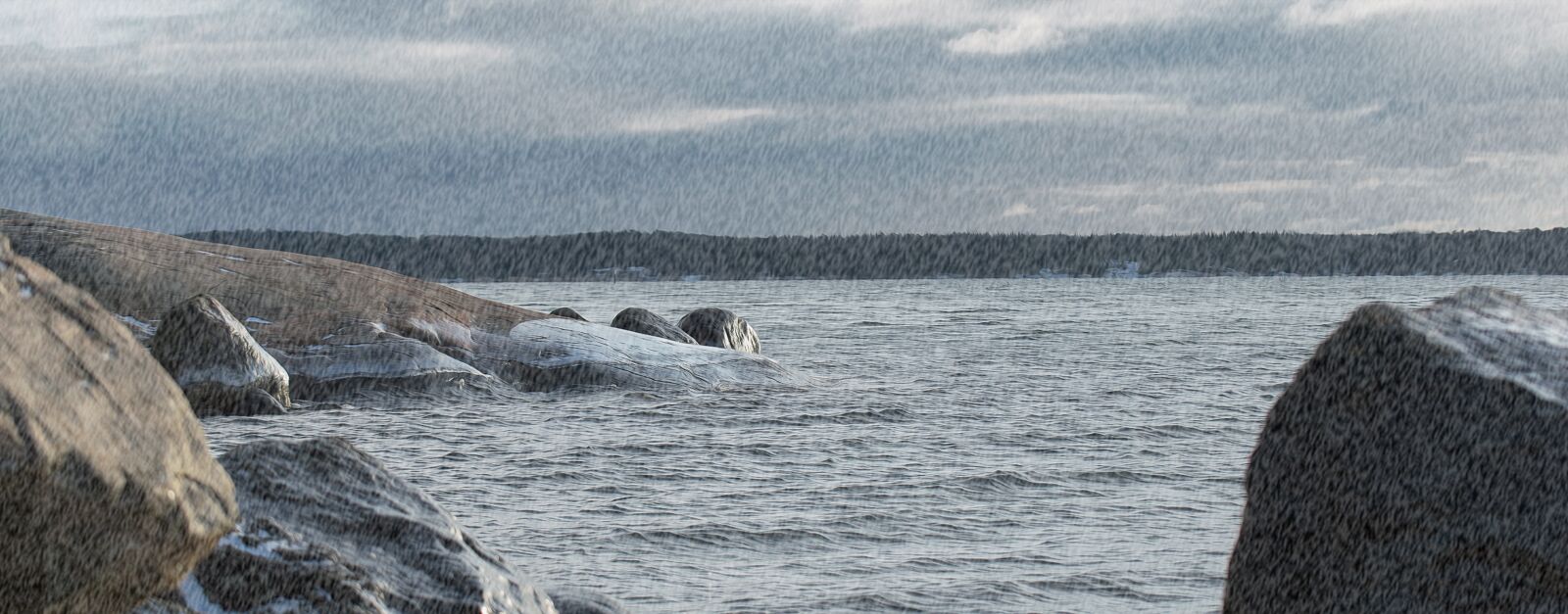 Nikon D3300 sample photo. Sea, winter, snow rain photography