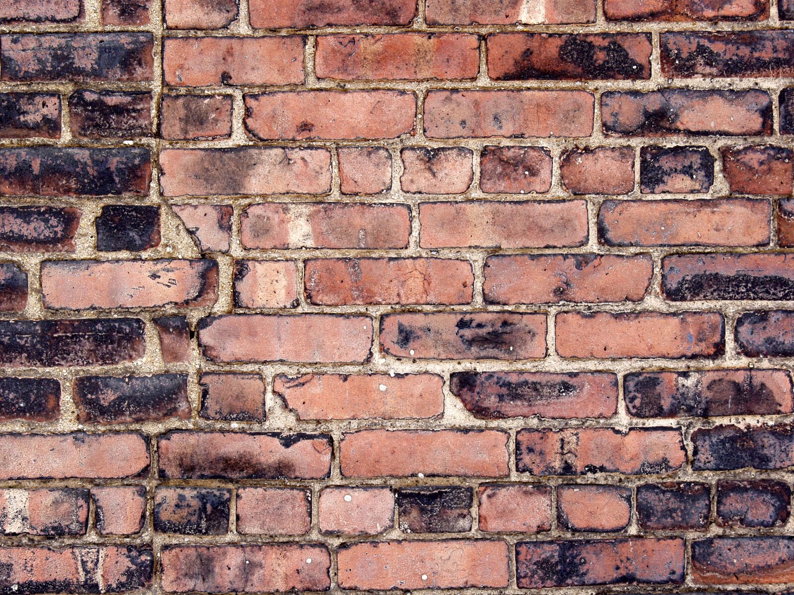 Olympus E-10 sample photo. Wall, brick, red photography