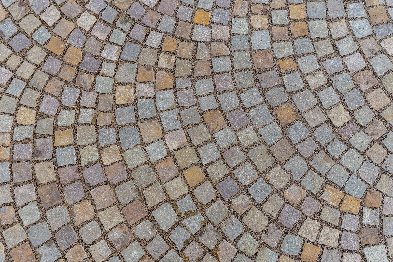 Nikon D750 sample photo. Stone, pavement, street photography