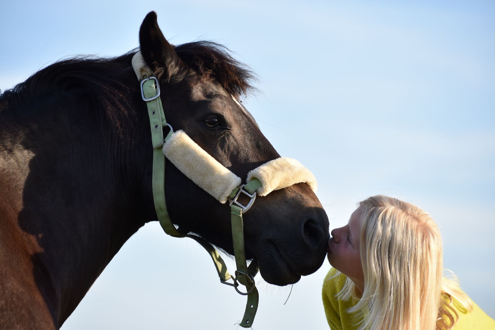 Nikon D3500 sample photo. Friendship, horse, pony photography