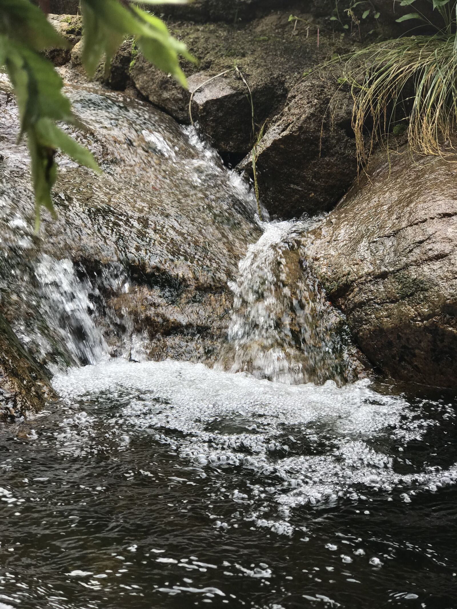 Apple iPhone 7 Plus sample photo. River water, stream water photography