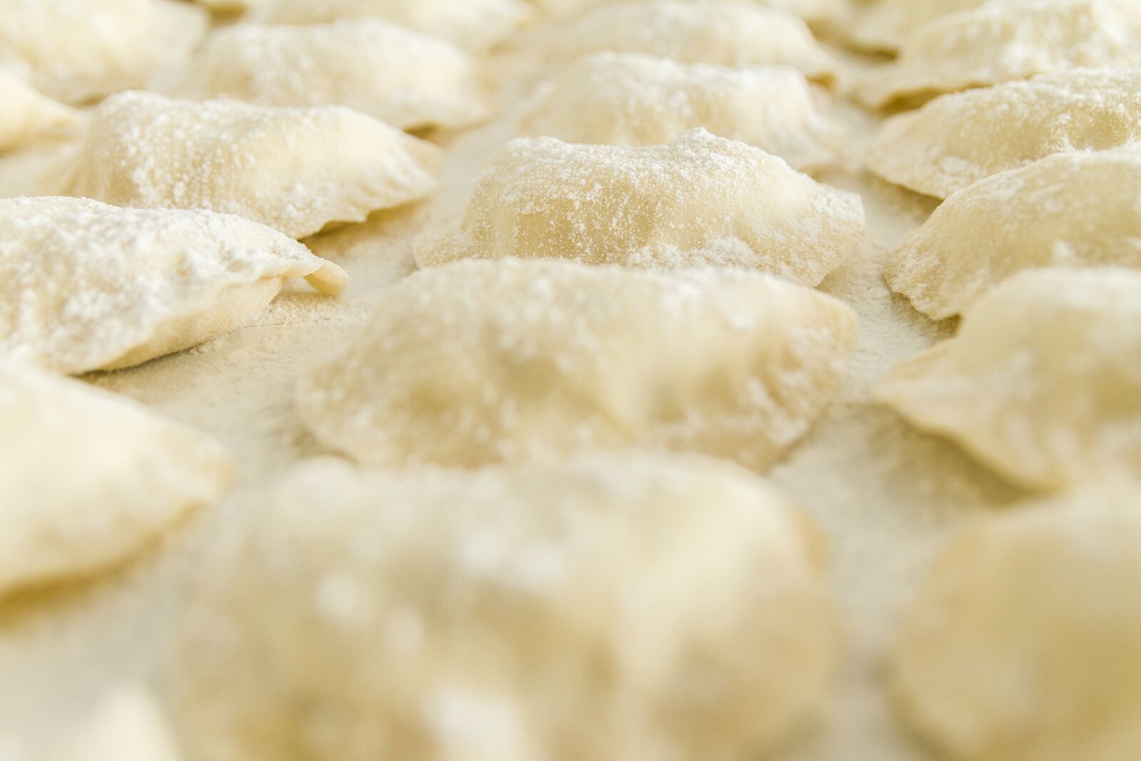 Canon EOS 7D sample photo. Dumplings, raw, uncooked photography