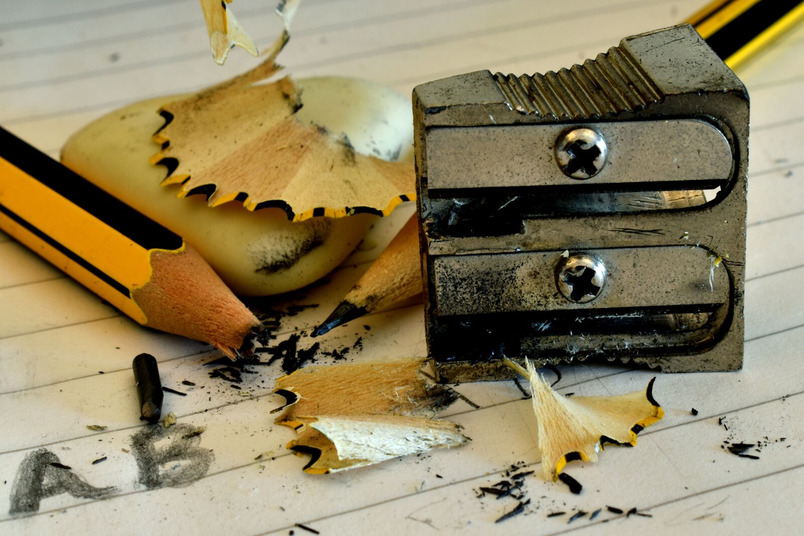 Nikon D3500 sample photo. Pencils, notebook, sharpener photography