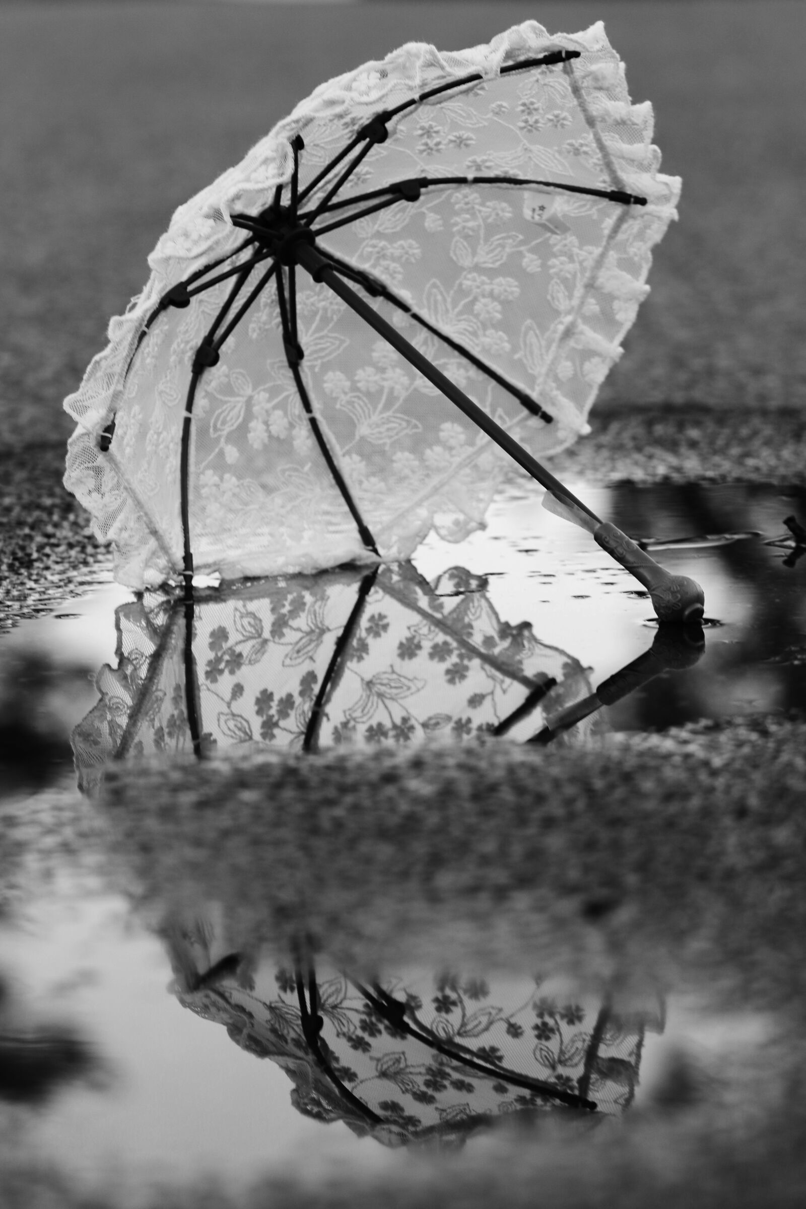 Canon EF 100mm F2.8L Macro IS USM sample photo. Umbrella, puddle, water photography