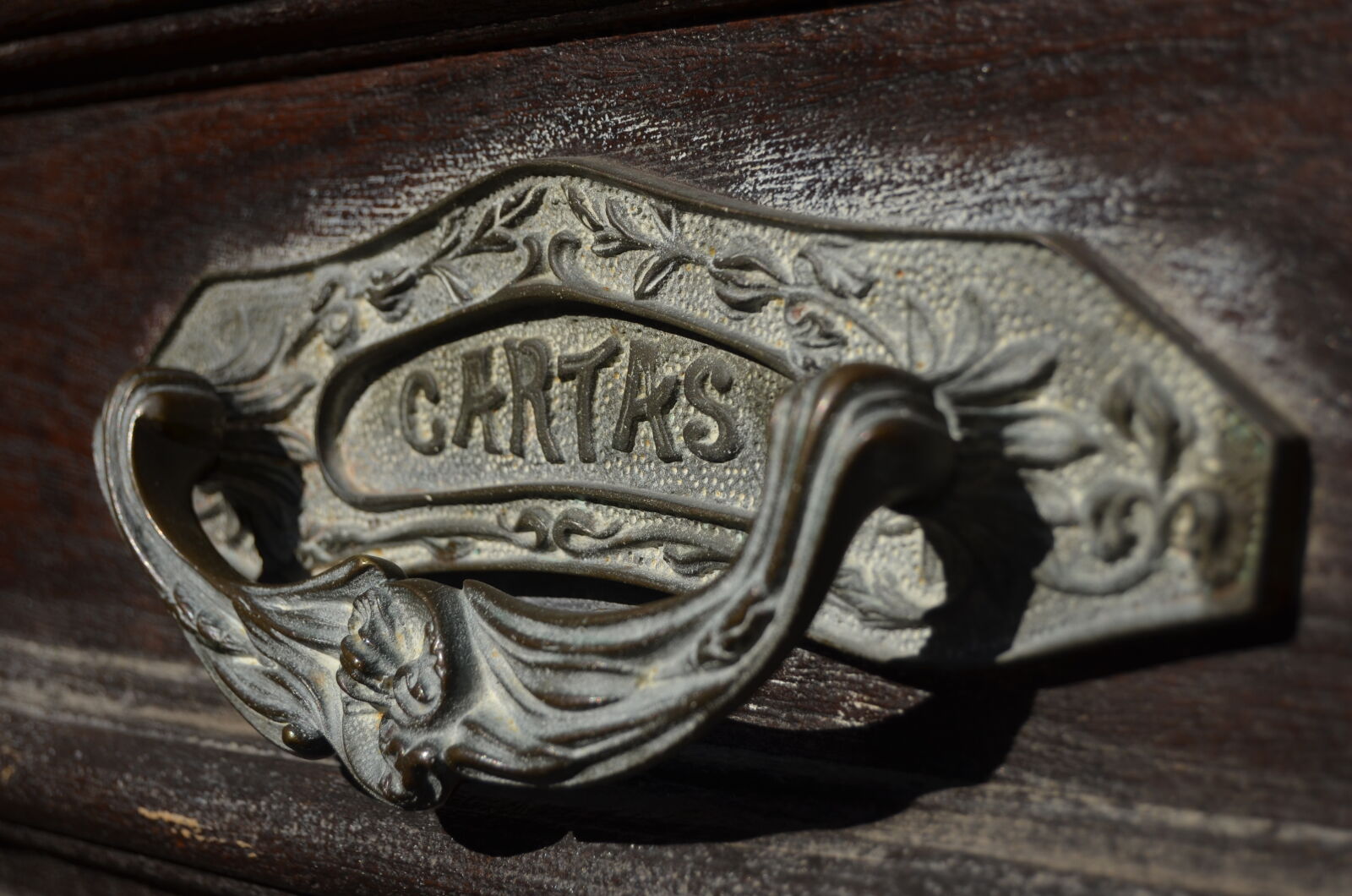 Nikon D5100 sample photo. Montevideo photography