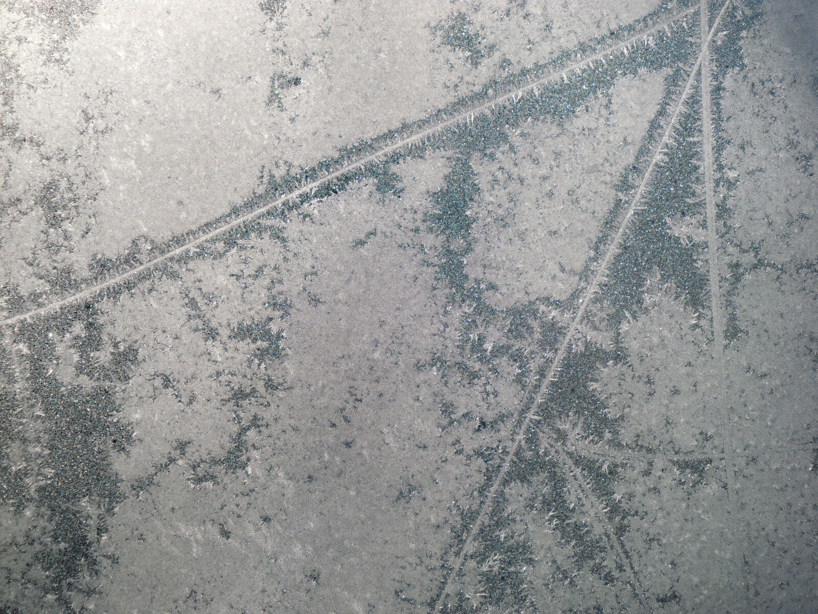 Panasonic Lumix DC-GH6 sample photo. Frosty window morning photography