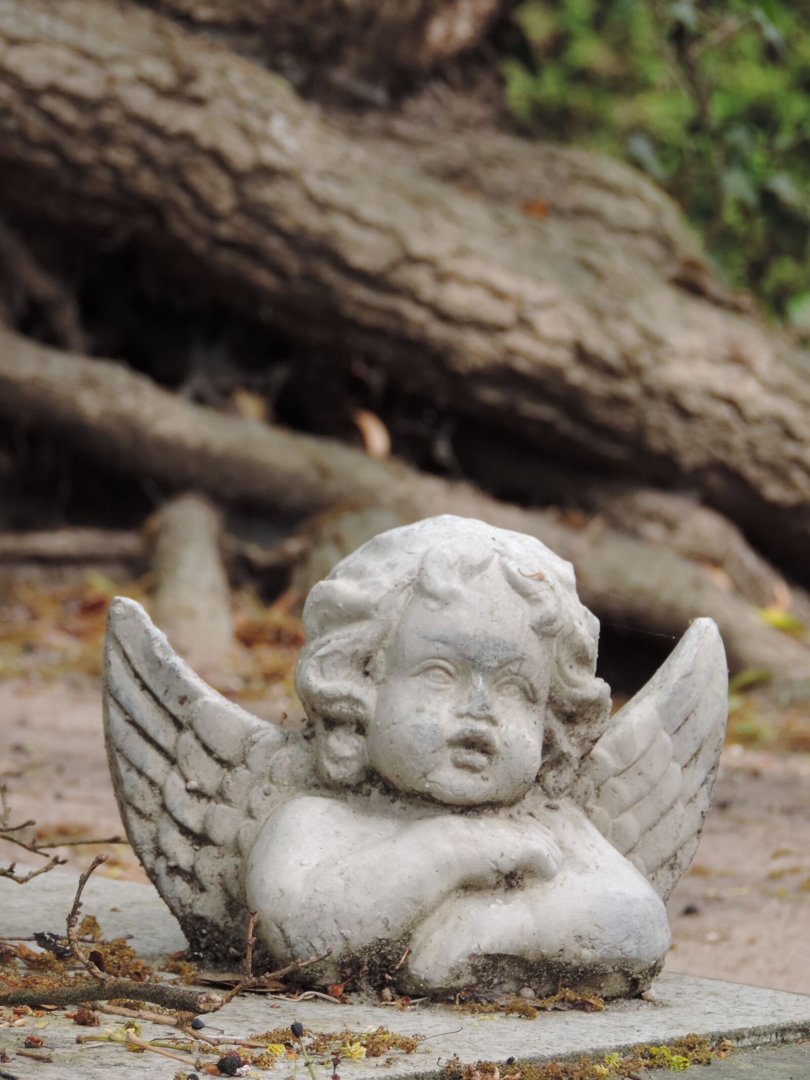 Nikon Coolpix P520 sample photo. Angel, figure, cemetery photography