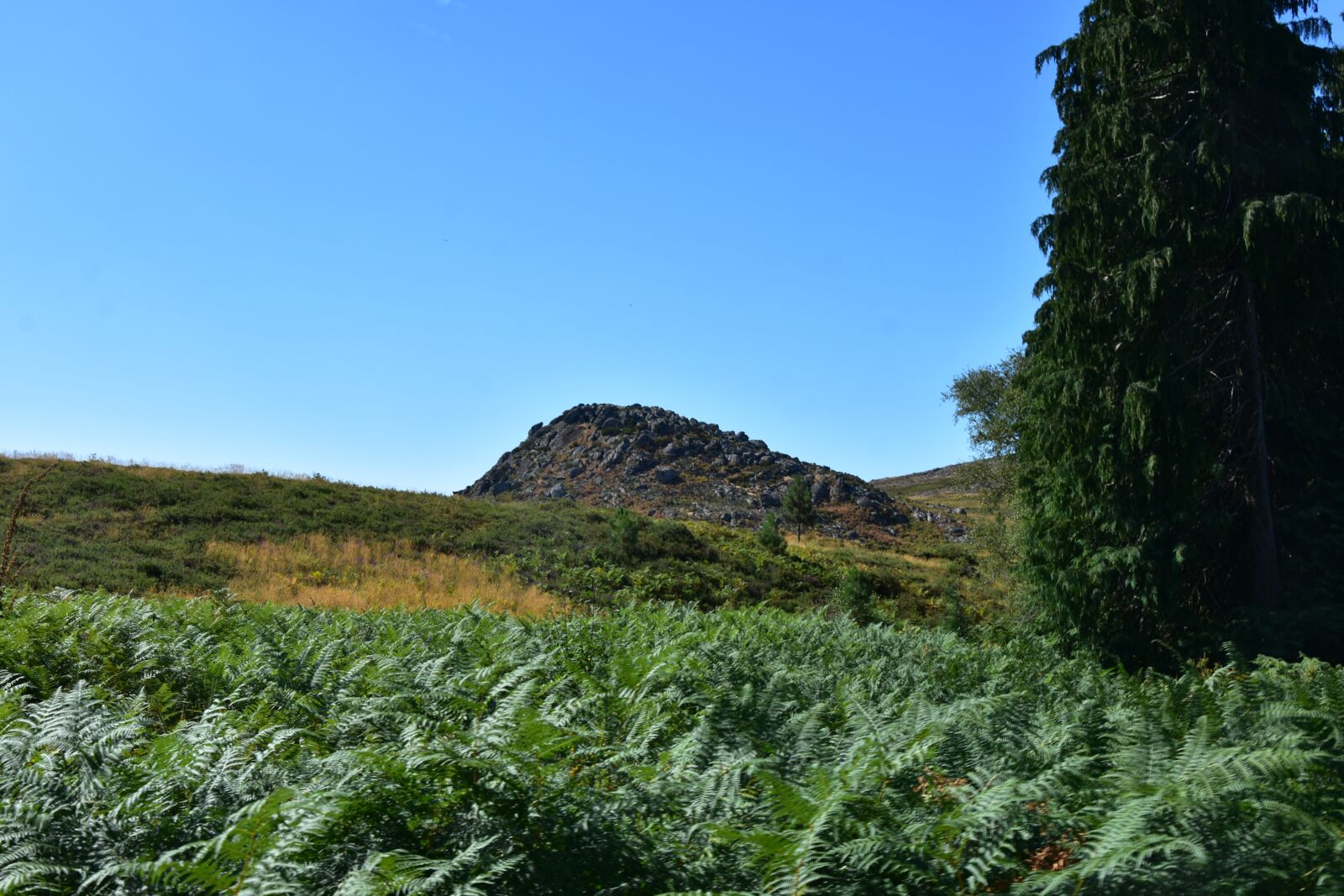 Nikon D3400 sample photo
