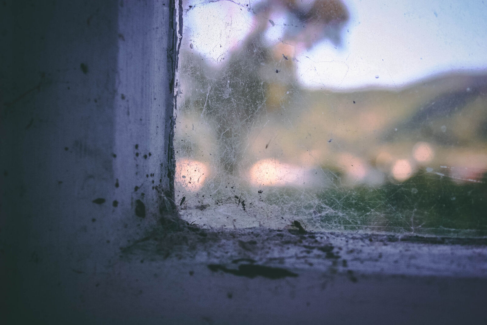 Canon EOS 20D sample photo. Bokeh, dirty, window, dust photography