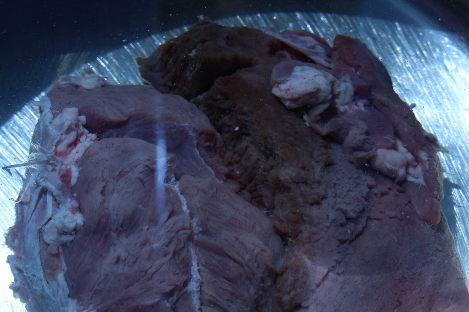 Canon EOS 100D (EOS Rebel SL1 / EOS Kiss X7) sample photo. Roe, meat, abstraction photography