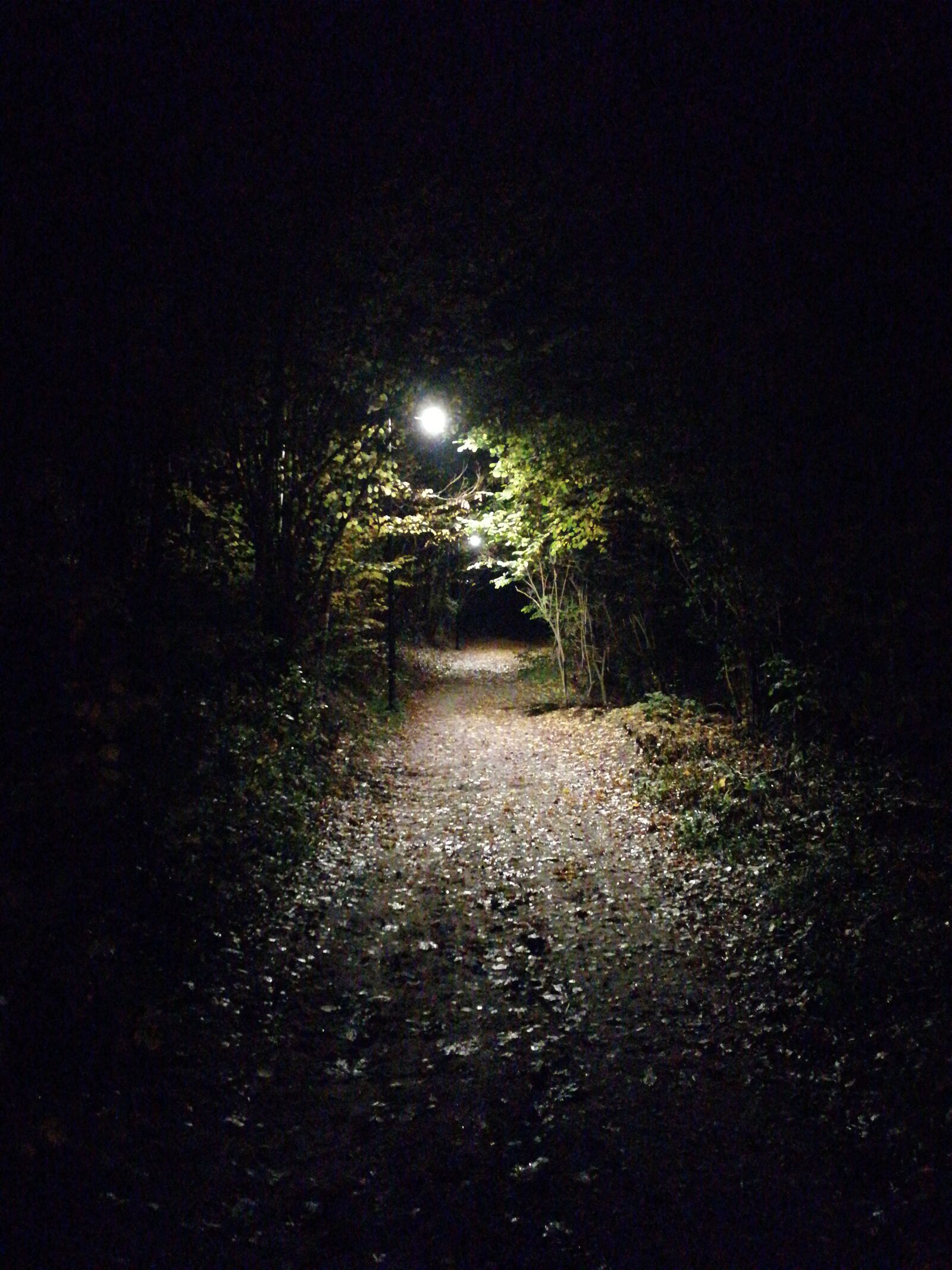 HUAWEI Honor 9 sample photo. The path, unknown, night photography