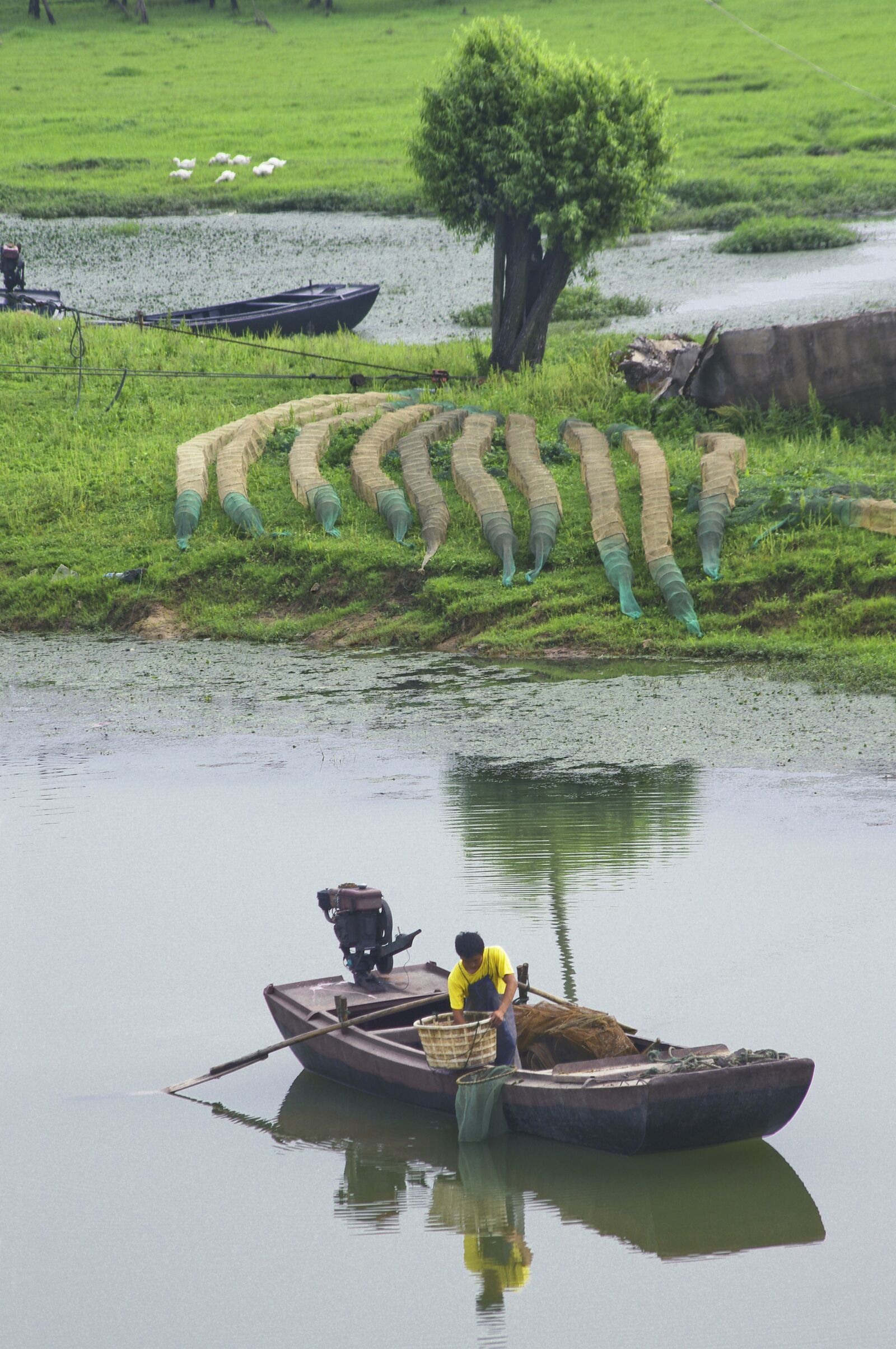 Pentax K-r sample photo. Countryside, wetlands, natural photography