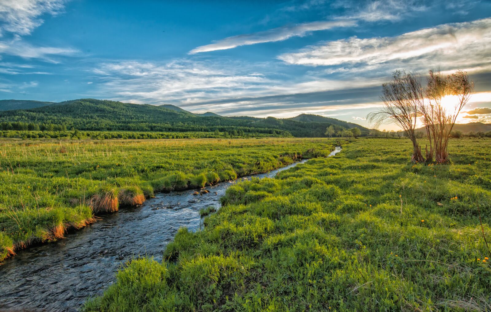 Nikon D800E sample photo. Sunset, brook, green meadow photography