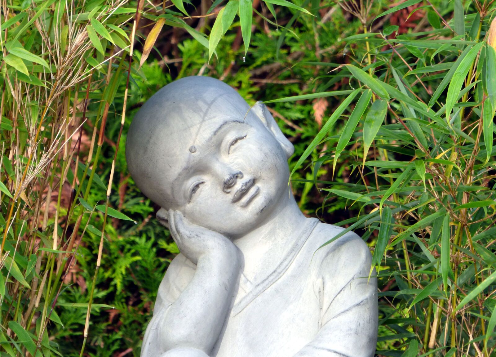 Panasonic DMC-FZ72 sample photo. Monk, meditation, zen photography