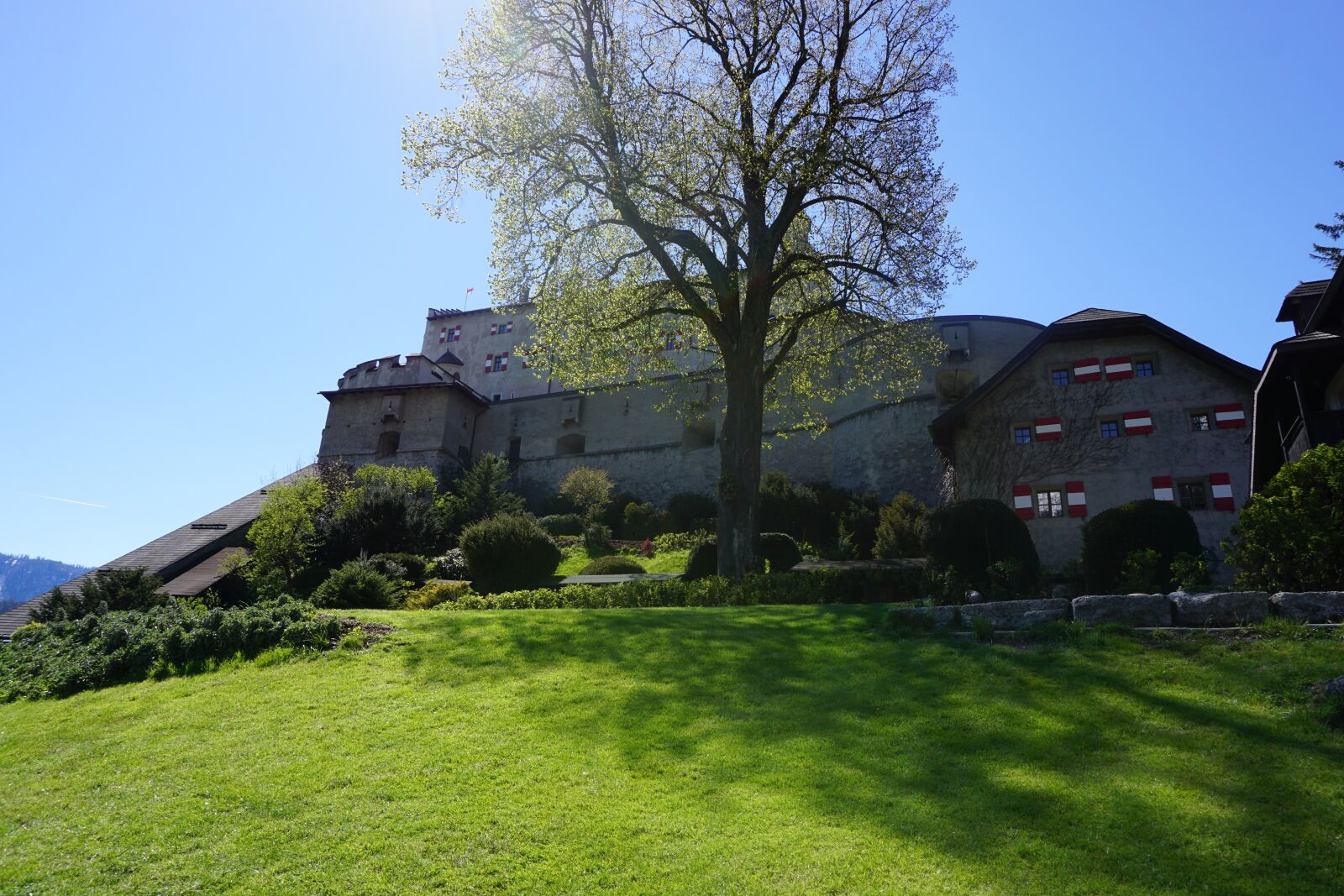 Sony a6000 sample photo. Castle, tree, nature photography