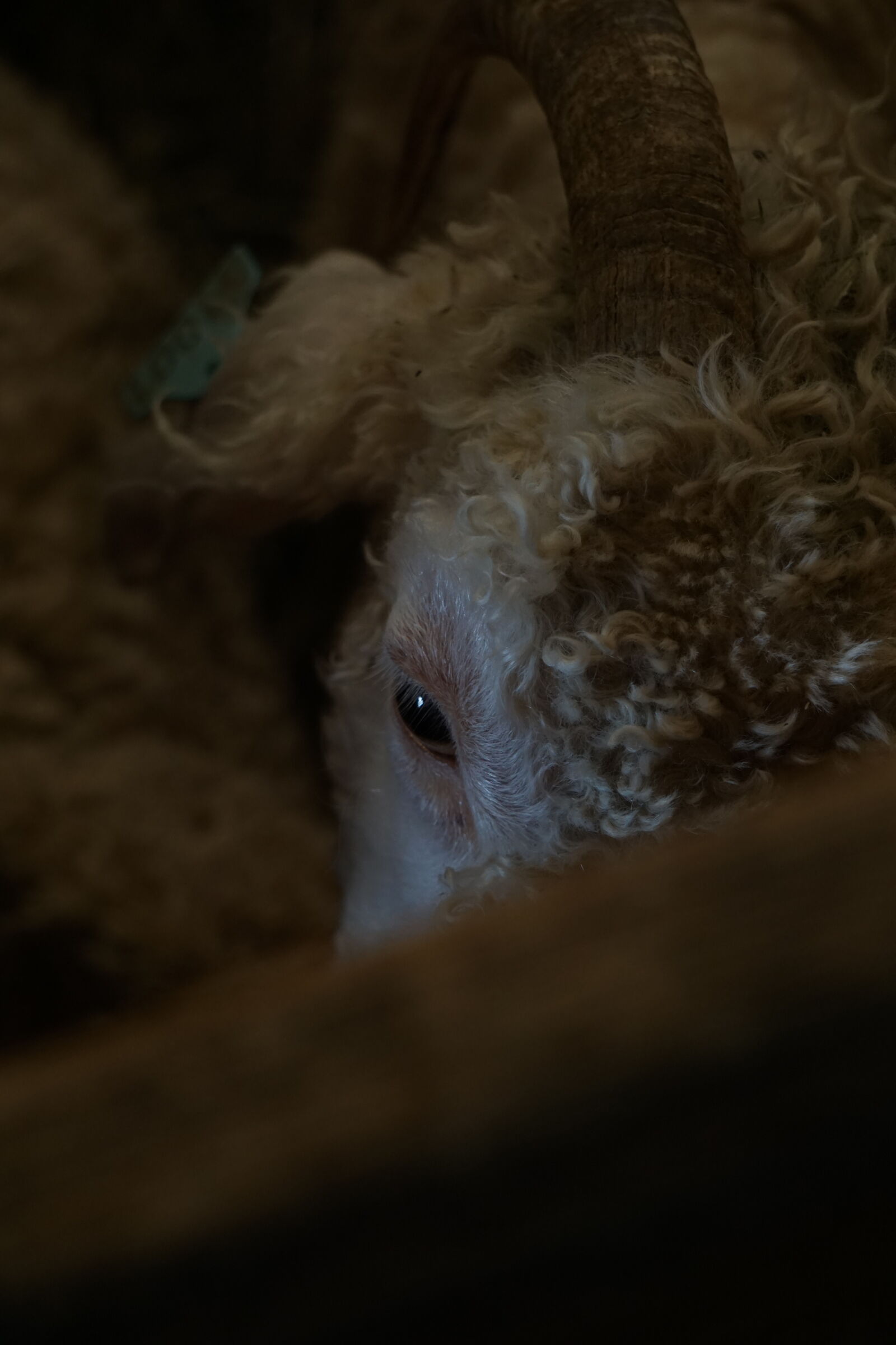 Sony a6000 sample photo